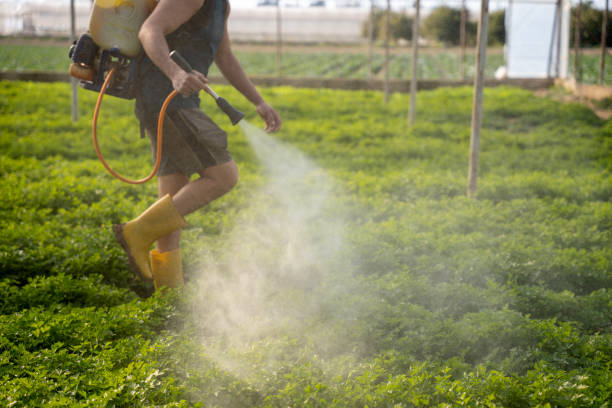 Best Exterminator Services  in Sumner, WA
